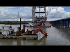 এক্সক্যাভেটর লং আর্ম এক্সক্যাভেটর টেলিস্কোপিক বুম ব্যবহার BS900E ব্যবহার ভাল ঢালাই খনন হাউস ফাউন্ডেশন